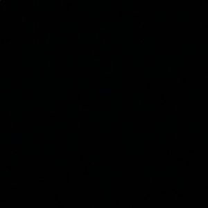 Meet your Posher, Brynn